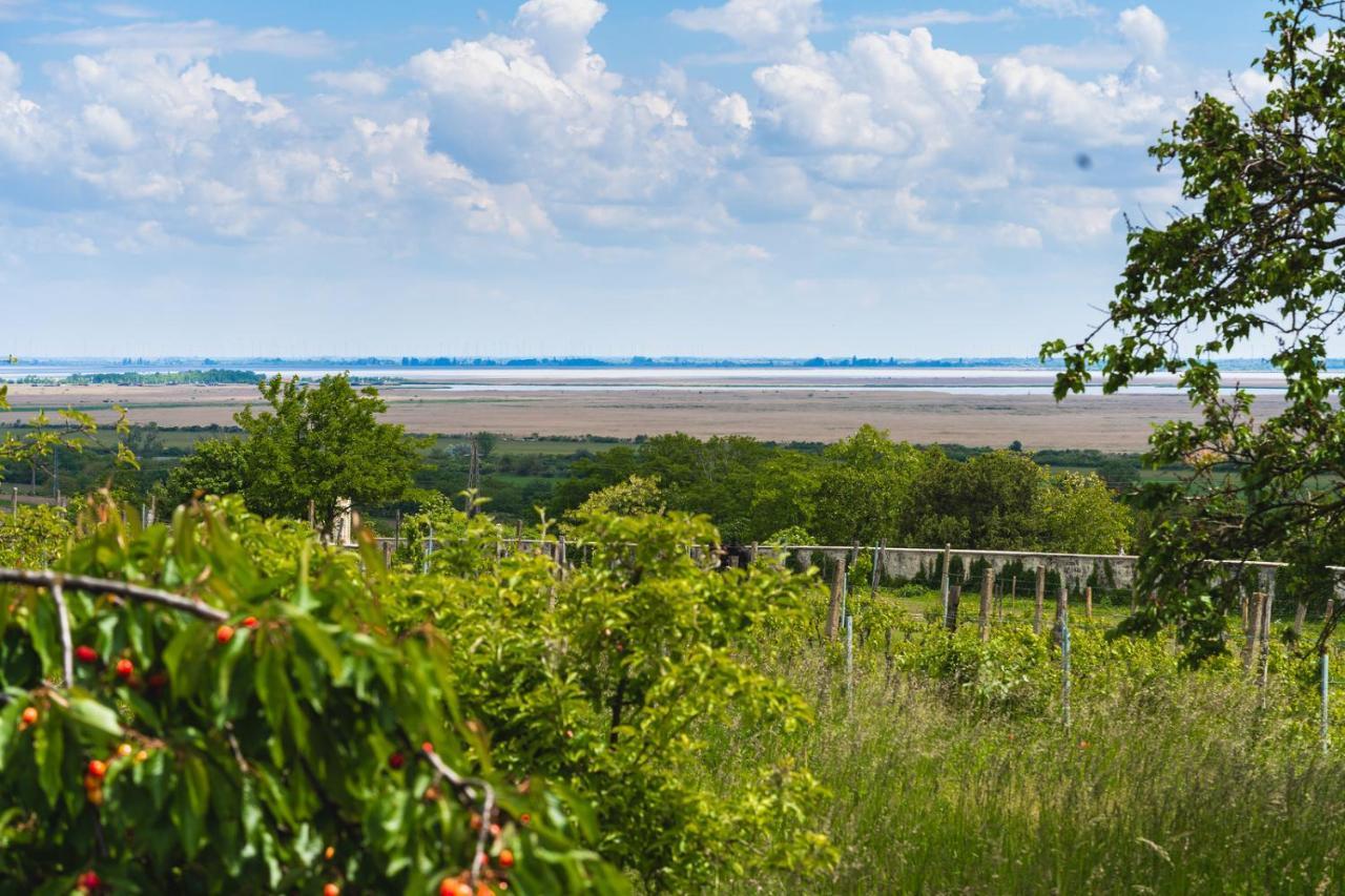 Villa Kofejto Haza Fertőrákos Exterior foto